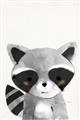 Picture of Curious Raccoon  _GroupedProduct_Rectangle_Portrait_Mini_ _GroupedProduct_Rectangle_Portrait_Unframed_Print_Only_