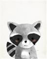 Picture of Curious Raccoon  _GroupedProduct_Rectangle_Portrait_Mini_ _GroupedProduct_Rectangle_Portrait_Unframed_Print_Only_