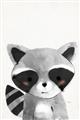 Picture of Curious Raccoon  _GroupedProduct_Rectangle_Portrait_Mini_ _GroupedProduct_Rectangle_Portrait_Unframed_Print_Only_