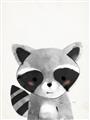Picture of Curious Raccoon  _GroupedProduct_Rectangle_Portrait_Mini_ _GroupedProduct_Rectangle_Portrait_Unframed_Print_Only_