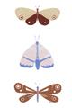 Picture of Pastel Butterflies II _GroupedProduct_Rectangle_Portrait_Mini_ _GroupedProduct_Rectangle_Portrait_Unframed_Print_Only_