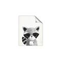 Picture of Curious Raccoon  _GroupedProduct_Rectangle_Portrait_Mini_ _GroupedProduct_Rectangle_Portrait_Unframed_Print_Only_
