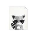 Picture of Curious Raccoon  _GroupedProduct_Rectangle_Portrait_Mini_ _GroupedProduct_Rectangle_Portrait_Unframed_Print_Only_