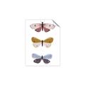 Picture of Pastel Butterflies I _GroupedProduct_Rectangle_Portrait_Mini_ _GroupedProduct_Rectangle_Portrait_Unframed_Print_Only_