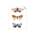 Picture of Pastel Butterflies I _GroupedProduct_Rectangle_Portrait_Mini_ _GroupedProduct_Rectangle_Portrait_Unframed_Print_Only_