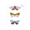 Picture of Pastel Butterflies I _GroupedProduct_Rectangle_Portrait_Mini_ _GroupedProduct_Rectangle_Portrait_Unframed_Print_Only_