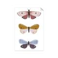 Picture of Pastel Butterflies I _GroupedProduct_Rectangle_Portrait_Mini_ _GroupedProduct_Rectangle_Portrait_Unframed_Print_Only_