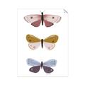 Picture of Pastel Butterflies I _GroupedProduct_Rectangle_Portrait_Mini_ _GroupedProduct_Rectangle_Portrait_Unframed_Print_Only_