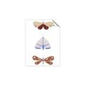 Picture of Pastel Butterflies II _GroupedProduct_Rectangle_Portrait_Mini_ _GroupedProduct_Rectangle_Portrait_Unframed_Print_Only_