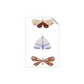 Picture of Pastel Butterflies II _GroupedProduct_Rectangle_Portrait_Mini_ _GroupedProduct_Rectangle_Portrait_Unframed_Print_Only_
