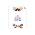 Picture of Pastel Butterflies II _GroupedProduct_Rectangle_Portrait_Mini_ _GroupedProduct_Rectangle_Portrait_Unframed_Print_Only_