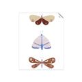 Picture of Pastel Butterflies II _GroupedProduct_Rectangle_Portrait_Mini_ _GroupedProduct_Rectangle_Portrait_Unframed_Print_Only_