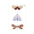 Picture of Pastel Butterflies II _GroupedProduct_Rectangle_Portrait_Mini_ _GroupedProduct_Rectangle_Portrait_Unframed_Print_Only_