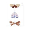 Picture of Pastel Butterflies II _GroupedProduct_Rectangle_Portrait_Mini_ _GroupedProduct_Rectangle_Portrait_Unframed_Print_Only_