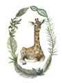Picture of Palm Wreath Giraffe _GroupedProduct_Rectangle_Portrait_Mini_ _GroupedProduct_Rectangle_Portrait_Unframed_Print_Only_