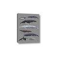 Picture of Shark chart _GroupedProduct_Rectangle_Portrait_Mini_ _GroupedProduct_Rectangle_Portrait_Canvas_