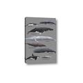 Picture of Shark chart _GroupedProduct_Rectangle_Portrait_Mini_ _GroupedProduct_Rectangle_Portrait_Canvas_