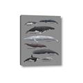 Picture of Shark chart _GroupedProduct_Rectangle_Portrait_Mini_ _GroupedProduct_Rectangle_Portrait_Canvas_