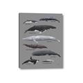 Picture of Shark chart _GroupedProduct_Rectangle_Portrait_Mini_ _GroupedProduct_Rectangle_Portrait_Canvas_