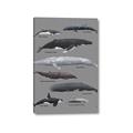 Picture of Shark chart _GroupedProduct_Rectangle_Portrait_Mini_ _GroupedProduct_Rectangle_Portrait_Canvas_