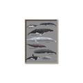 Picture of Shark chart _GroupedProduct_Rectangle_Portrait_Mini_ _GroupedProduct_Rectangle_Portrait_Canvas_Framed_