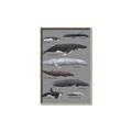 Picture of Shark chart _GroupedProduct_Rectangle_Portrait_Mini_ _GroupedProduct_Rectangle_Portrait_Canvas_Framed_