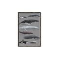 Picture of Shark chart _GroupedProduct_Rectangle_Portrait_Mini_ _GroupedProduct_Rectangle_Portrait_Canvas_Framed_