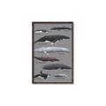 Picture of Shark chart _GroupedProduct_Rectangle_Portrait_Mini_ _GroupedProduct_Rectangle_Portrait_Canvas_Framed_