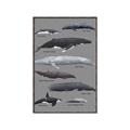 Picture of Shark chart _GroupedProduct_Rectangle_Portrait_Mini_ _GroupedProduct_Rectangle_Portrait_Canvas_Framed_