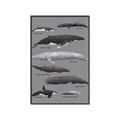Picture of Shark chart _GroupedProduct_Rectangle_Portrait_Mini_ _GroupedProduct_Rectangle_Portrait_Canvas_Framed_