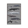 Picture of Shark chart _GroupedProduct_Rectangle_Portrait_Mini_ _GroupedProduct_Rectangle_Portrait_Canvas_Framed_