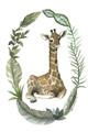 Picture of Palm Wreath Giraffe _GroupedProduct_Rectangle_Portrait_Mini_ _GroupedProduct_Rectangle_Portrait_Unframed_Print_Only_
