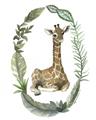 Picture of Palm Wreath Giraffe _GroupedProduct_Rectangle_Portrait_Mini_ _GroupedProduct_Rectangle_Portrait_Unframed_Print_Only_