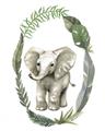 Picture of Elephant Palm Wreath _GroupedProduct_Rectangle_Portrait_Mini_ _GroupedProduct_Rectangle_Portrait_Unframed_Print_Only_