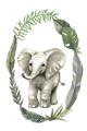 Picture of Elephant Palm Wreath _GroupedProduct_Rectangle_Portrait_Mini_ _GroupedProduct_Rectangle_Portrait_Unframed_Print_Only_