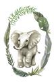 Picture of Elephant Palm Wreath _GroupedProduct_Rectangle_Portrait_Mini_ _GroupedProduct_Rectangle_Portrait_Unframed_Print_Only_