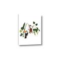 Picture of Hanging in the rainforest I _GroupedProduct_Rectangle_Portrait_Mini_ _GroupedProduct_Rectangle_Portrait_Canvas_
