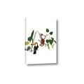 Picture of Hanging in the rainforest I _GroupedProduct_Rectangle_Portrait_Mini_ _GroupedProduct_Rectangle_Portrait_Canvas_