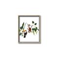 Picture of Hanging in the rainforest I _GroupedProduct_Rectangle_Portrait_Mini_ _GroupedProduct_Rectangle_Portrait_Canvas_Framed_