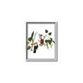 Picture of Hanging in the rainforest I _GroupedProduct_Rectangle_Portrait_Mini_ _GroupedProduct_Rectangle_Portrait_Canvas_Framed_