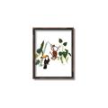Picture of Hanging in the rainforest I _GroupedProduct_Rectangle_Portrait_Mini_ _GroupedProduct_Rectangle_Portrait_Canvas_Framed_