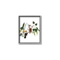 Picture of Hanging in the rainforest I _GroupedProduct_Rectangle_Portrait_Mini_ _GroupedProduct_Rectangle_Portrait_Canvas_Framed_