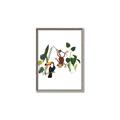 Picture of Hanging in the rainforest I _GroupedProduct_Rectangle_Portrait_Mini_ _GroupedProduct_Rectangle_Portrait_Canvas_Framed_