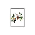 Picture of Hanging in the rainforest I _GroupedProduct_Rectangle_Portrait_Mini_ _GroupedProduct_Rectangle_Portrait_Canvas_Framed_
