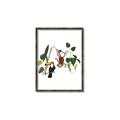 Picture of Hanging in the rainforest I _GroupedProduct_Rectangle_Portrait_Mini_ _GroupedProduct_Rectangle_Portrait_Canvas_Framed_