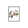 Picture of Hanging in the rainforest I _GroupedProduct_Rectangle_Portrait_Mini_ _GroupedProduct_Rectangle_Portrait_Canvas_Framed_