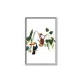 Picture of Hanging in the rainforest I _GroupedProduct_Rectangle_Portrait_Mini_ _GroupedProduct_Rectangle_Portrait_Canvas_Framed_