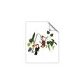 Picture of Hanging in the rainforest I _GroupedProduct_Rectangle_Portrait_Mini_ _GroupedProduct_Rectangle_Portrait_Unframed_Print_Only_