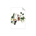 Picture of Hanging in the rainforest I _GroupedProduct_Rectangle_Portrait_Mini_ _GroupedProduct_Rectangle_Portrait_Unframed_Print_Only_