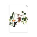 Picture of Hanging in the rainforest I _GroupedProduct_Rectangle_Portrait_Mini_ _GroupedProduct_Rectangle_Portrait_Unframed_Print_Only_